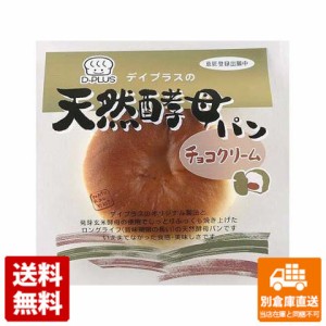 デイプラス 天然酵母パン チョコクリーム 1個 x 12 【送料無料 同梱不可 別倉庫直送】