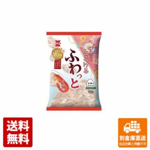 岩塚製菓 ふわっとやわらか えび味 45g x 10 【送料無料 同梱不可 別倉庫直送】