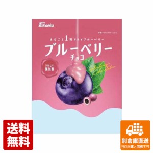 高岡食品工業 ブルーベリーチョコ 90g x 12 【送料無料 同梱不可 別倉庫直送】