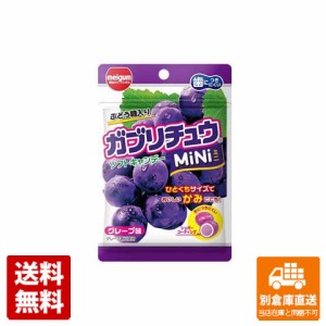 明治ガム ガブリチュウＭＩＮＩグレープ 28g x 10 【送料無料 同梱不可 別倉庫直送】