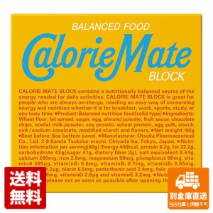 大塚製薬 カロリーメイトブロックバニラ味 20gx 4本 x 10 【送料無料 同梱不可 別倉庫直送】