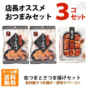 【送料無料】 美味しいおつまみ缶つまセットB 厚切りベーコンとさつま揚げ メール便 ポイント消化 お試し