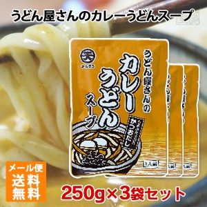 【送料無料】 マルテン うどん屋さんのカレーうどんスープ 250g 3袋 メール便 ポイント消化 お試し ※賞味期限2025年2月20日