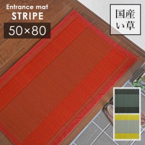 い草 玄関マット ストライプ 50×80 cm 日本製 香り高い 国産 い草 100％ 滑り止め 袋織 送料無料