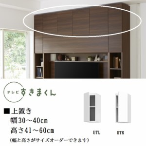 上置 テレビ すきまくん 幅30-40cm 壁面収納 高さ41-60cm 1センチ単位でオーダー 開き扉 耐震ラッチ 天井突っ張り 国産 LSD-UTL UTR