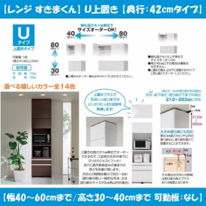 すきまくん レンジ 上置き キッチン 壁面収納 幅40cm-60cm 奥行42cm 高さ30-40cm 国産 開き扉 板戸 オーダー家具 完成品 RSP-U