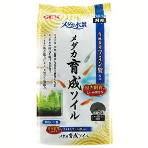 メダカ水景 メダカ育成ソイル 2.5L メダカ ソイル 育成 屋内飼育 ジェックス 底砂 水質調整 汚れ分解 小粒サイズ GEX