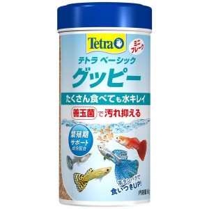 テトラ ベーシック グッピー 60g 【B】 熱帯魚 グッピー 餌 えさ フード 主食 消化 水キレイ