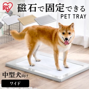 ペット 犬 イヌ スクエアドッグトレー ワイド トイレ トレー ペットトレー といれ トレー ペットトレー ペットトイレ ペット SQDT-616W 