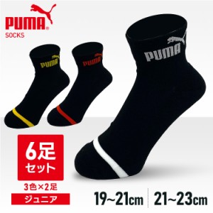 PUMA6足セット 4293719 PUMA (メール便)【B】 靴下 スニーカー丈 クッションパイル