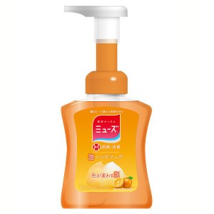 【最大66％ｵﾌｾｰﾙ開催！】 泡ミューズ フルーティフレッシュ 本体 250ml （D） ミューズ ハンドソープ 泡タイプ 消毒 殺菌 石けん 保