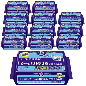 【最大66％ｵﾌｾｰﾙ開催！】 【12個セット】アクティ トイレに流せる たっぷり使えるおしりふき 100枚 アクティ おしりふき 濡れタオル