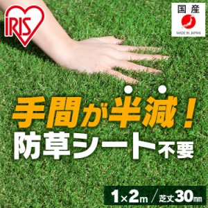 【限定価格！〜5/27 15:59】 【即納】 リアル防草人工芝 RP-3012 アイリスソーコー 人工芝 1m×2m【2平米】 国産 雑草対策 人工芝生 芝生