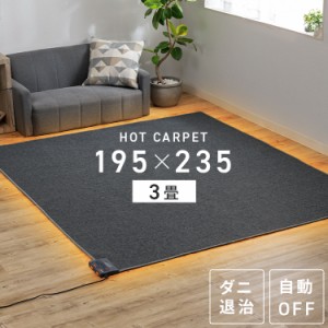 ホットカーペット 3畳 本体 195×235cm TEKNOS ホットカーペット HC-IR300 電気カーペット 電気マット カーペット 3畳 3畳用 簡単操作 暖