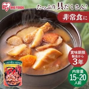 【6/23 00:00〜10％OFFｸｰﾎﾟﾝ】 けんちん汁 1号缶けんちん汁 3000g 缶詰 具だくさん 防災 防災食 防災用品 非常食 保存食 山菜 田舎