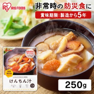 【最大66％オフセール開催！】 災対食パウチけんちん汁 250g  けんちん汁 非常食 具だくさん 防災 備蓄 やさい ヤサイ 野菜 保存食 災対