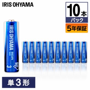 乾電池 BIGCAPA basic 単3形10パック 乾電池 単3形 電池 でんち デンチ かんでんち カンデンチ バッテリー アルカリ乾電池 アイリスオー