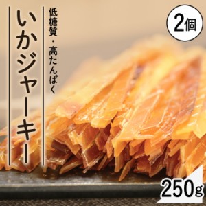 いか するめいか いかジャーキー【2袋】 250g×2 いか するめジャーキー するめ おやつ 珍味 やみつき おつまみ 家飲み ダイエット 噛む 