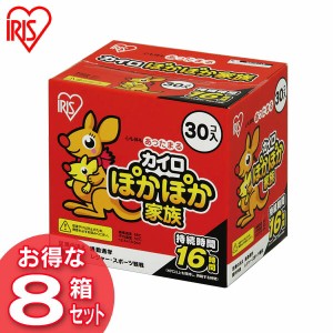 カイロ 貼らない レギュラーサイズ 使い捨て ぽかぽか家族 PKN-30R 貼らないカイロ 30枚×8箱セット 防寒 腰 脇 背中 冬 持ち運び 寒さ対