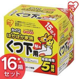 【16個セット】カイロ 足 貼る 靴下用 15足×16個 ぽかぽか家族 PKN-15HK 貼るカイロ くつ下用 使い捨てカイロ 使い捨て あったかグッズ 