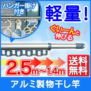 物干し竿 屋外 物干し 洗濯干し 物干し竿 アルミものほし竿 ハンガー掛付き N-AL-260H 送料無料 アルミ ハンガー掛け付き ものほし竿 竿 