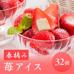 アイス 母の日 ギフト プレゼント 春摘み苺アイス（32個） AH-HBB [代引不可] アイスクリーム いちご 練乳アイス いちご アイス かわいい