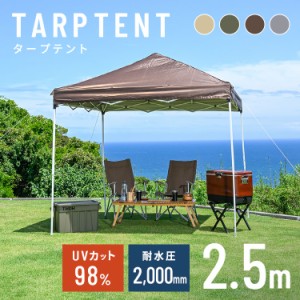 テント アウトドア 幅2.5m タープテント 2.5×2.5m TP-250 全4色 大型 日よけ UVカット 耐水 キャンプ レジャー バーベキュー 収納バッグ