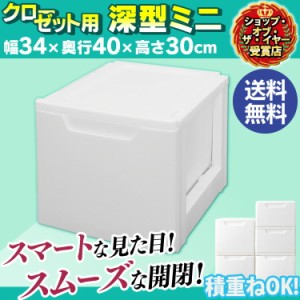 ★13日24h限定全品P5倍★送料無料 【押入れ収納 引き出し 衣装ケース】チェスト SG-SD（奥行40cmタイプ）[アイリスオーヤ