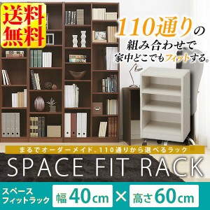 ★13日24h限定全品P5倍★棚 収納棚 ラック スペースフィットラック(幅40×奥行29×高さ60cm) S-SFR6040 シェルフ ウォ