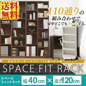 ★13日24h限定全品P5倍★棚 収納棚 ラック アイリスオーヤマ スペースフィットラック(幅40×奥行29×高さ120cm) S-SFR