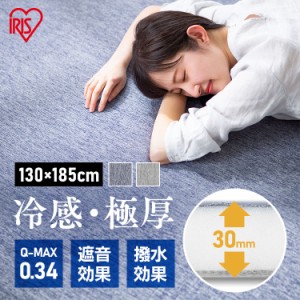 ラグ ラグマット エコ 節電 エコ 節電 ラ・クッションラグ 接触冷感タイプ ACRC-1318 クッションラグ マット カーペット 絨毯 厚手 極厚