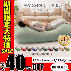 ★期間限定セール開催★★レビュー記入でクッションプレゼント★ソファ ビーズクッション ソファー ビーズクッション クッション