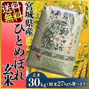 玄米 ひとめぼれ 宮城県産ひとめぼれ 30kg(選べる!玄米・精米) 令和2年産 一等米100% 産地直送 ひとめぼれ 美味しい こだわり 送料無
