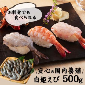 海老 海鮮 白姫えび 500g ニッスイ [代引不可] えび エビ 海老 国産 冷凍 生食 しらひめえび バナメイえび お取り寄せ 贈り物