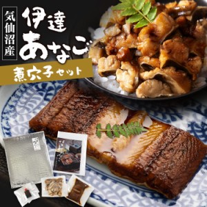 伊達アナゴ煮穴子セット トロ煮穴子70g×1 刻穴子70g×1 [代引不可] あなご アナゴ 穴子 刻み 煮穴子 トロ穴子 ひつまぶし 伊達あなご セ