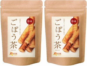 【公式】温活農園 ごぼう茶 国産 2g×40包 (お得な2個セット) ティーバッグ 国産ごぼう茶 ゴボウ 牛蒡 送料無料 ティーバッグ ゴボウ茶 