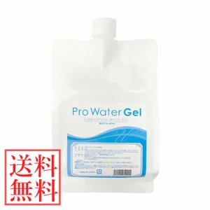 【おまけ付き】プロウォーター・ジェル 1kg (送料無料) 業務用 大容量 エステ サロン 美容室 美顔器 美容機器 フェイシャル マッサージ 