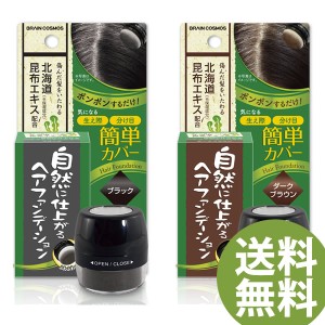 自然に仕上がるヘアファンデーション (定形外郵便送料無料) 薄毛 白髪 隠し カバー 円形脱毛 利尻昆布エキス配合 ヘアファンデーション 