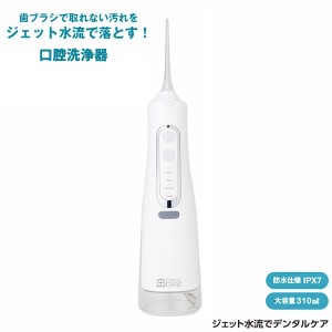 【おまけ付き】ジェット水流でデンタルケア (送料無料) 口腔洗浄器 電動歯ブラシ デンタルフロス マウスウォッシュ ジェット 水流 歯間 