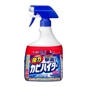 強力カビハイター 特大1000ml 花王