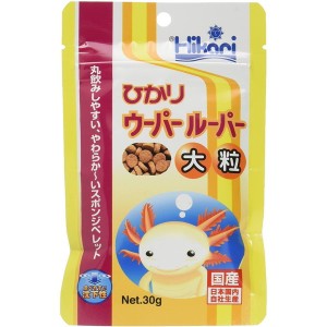 ひかり ウーパールーパー 大粒 30g キョーリン