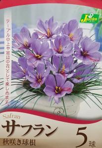 サフラン 球根の通販 Au Pay マーケット