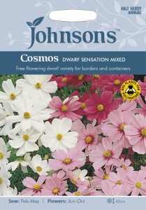 【種子】Johnsons Seeds Cosmos Dwarf Sensation Mixed コスモス ドワーフ・センセーション・ミックス ジョンソンズシード