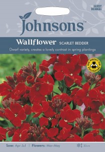 【種子】Johnsons Seeds Wallflower SCARLET BEDDER ウォールフラワー スカーレット・ベッダー　ジョンソンズシード