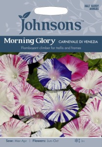 【種子】Johnsons Seeds Morning Glory Carnevale di Venezia モーニング・グローリー（西洋朝顔)・カーニバル・デ・ヴェネツィア ジョン