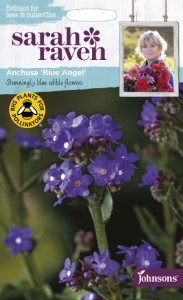 【種子】Johnsons Seeds Sarah Raven Brilliant for Bees & Butterflies Anchusa Blue Angel アンチューサ・ブルー・エンジェル ジョンソ