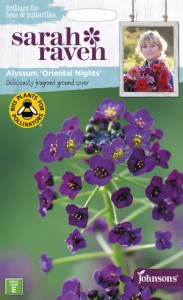 【種子】Johnsons Seeds Sarah Raven Brilliant for Bees & Butterflies Alyssum Oriental Nights サラ・レイブン ビー＆バタフライ アリ