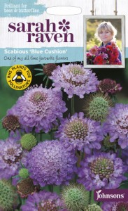 【種子】Johnsons Seeds Sarah Raven Brilliant for Bees & Butterflies Scabious Blue Cushion サラ・レイブン ビー＆バタフライスカビ