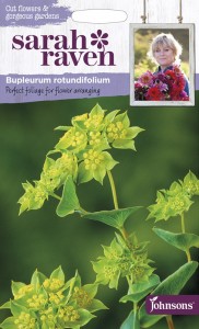 【種子】Johnsons Seeds Sarah Raven Cut Flowers & Gorgeous Gardens Bupleurum rotundifolium ブプレウラム・ロツンディフォリウム ジ