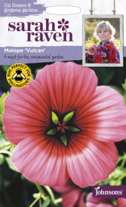 【種子】Johnsons Seeds Sarah Raven Cut flowers & gorgeous gardens Malope Vulcan サラ・レイブン・カットフラワーズ マローペ・バル